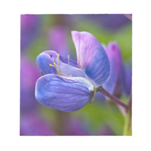 USA, Maine, Acadia National Park. Naher Notizblock