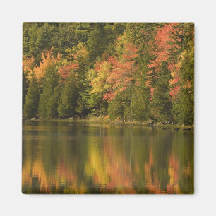 USA; Maine; Acadia NP. Fallreflektionen auf Magnet