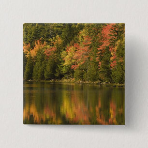 USA; Maine Acadia NP. Fallreflektionen bei Button