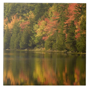  USA; Maine Acadia NP. Fallreflektionen bei Fliese