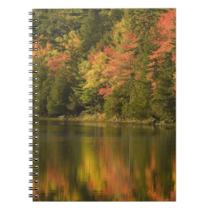 USA; Maine Acadia NP. Fallreflektionen bei Notizblock