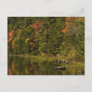 USA; Maine; Acadia NP. Herbstreflektionen bei 2 Postkarte
