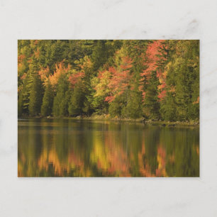 USA; Maine; Acadia NP. Herbstreflexionen an Postkarte