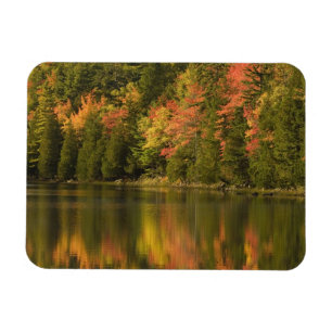 USA; Maine; Acadia NP. Herbstreflexionen bei Magnet