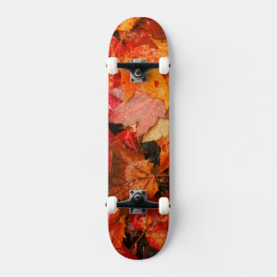 USA, Maine. Herbst-Ahornblätter Skateboard