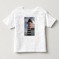 USA, Maine, Lubec. West Quoddy Head LIghthouse