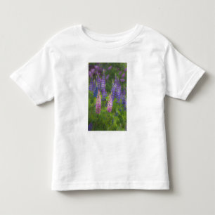USA, Maine, Southwest Harbor. Blühende Lupine Kleinkind T-shirt