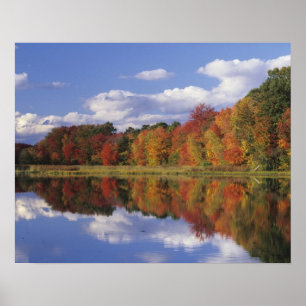 USA, Massachusetts, Acton. Reflexion des Herbstes Poster