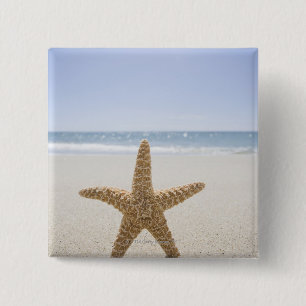 USA, Massachusetts, Cape Cod, Nantucket, nah Button