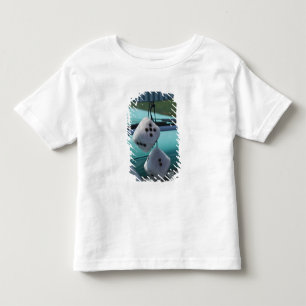 USA, Massachusetts, Gloucester. Fuzzy Würfel in ei Kleinkind T-shirt