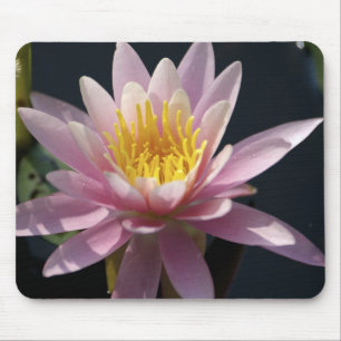 USA, Massachusetts, Great Barrington, Lilienpolste Mousepad