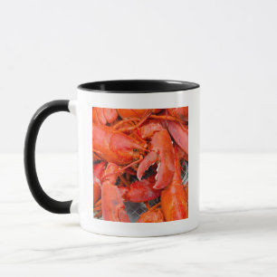 USA, Massachusetts, Martha's Vineyard Tasse