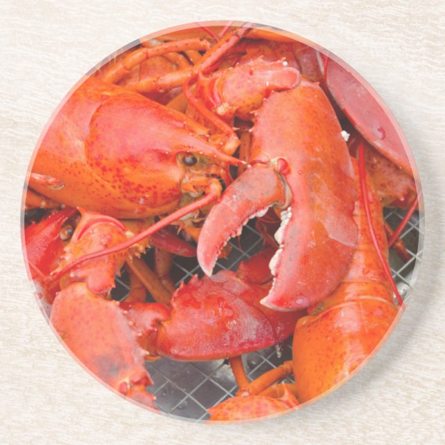 USA, Massachusetts, Martha's Vineyard Untersetzer (Vorne)