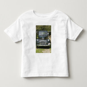USA, MASSACHUSETTS, Martha's Vineyard: West4 Kleinkind T-shirt