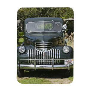 USA, MASSACHUSETTS, Martha's Vineyard: West4 Magnet