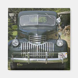 USA, MASSACHUSETTS, Martha's Vineyard: West 4 Magnet