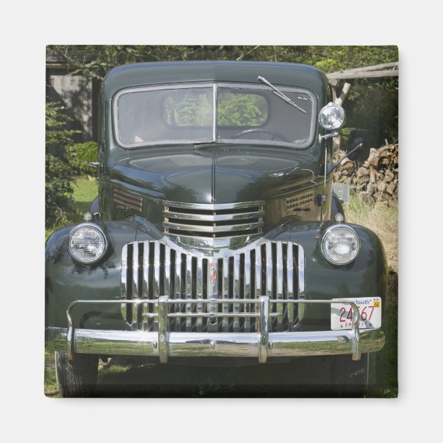 USA, MASSACHUSETTS, Martha's Vineyard: West 4 Magnet (Vorne)