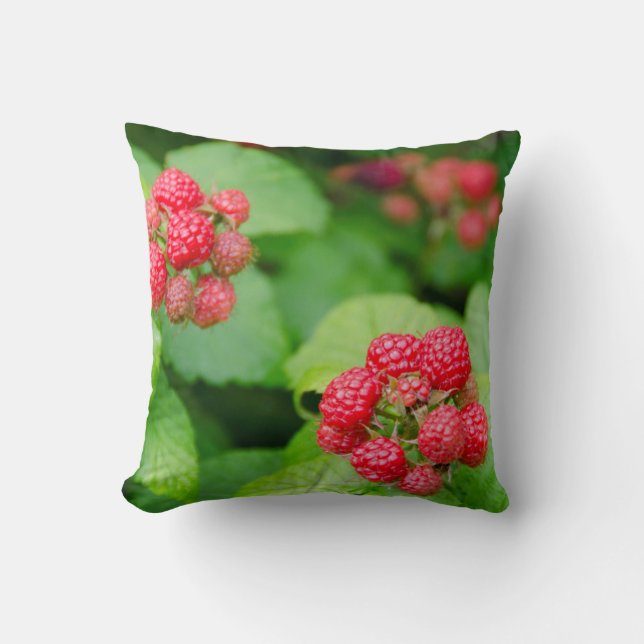 USA, Massachusetts, Nantucket. Himbeeren Kissen (Vorderseite)