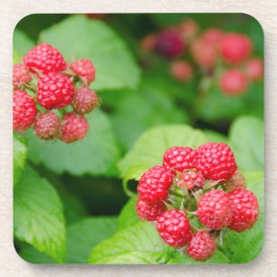 USA, Massachusetts, Nantucket. Himbeeren Untersetzer