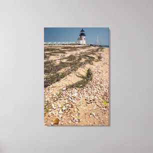 USA, Massachusetts, Nantucket. Muschel Leinwanddruck