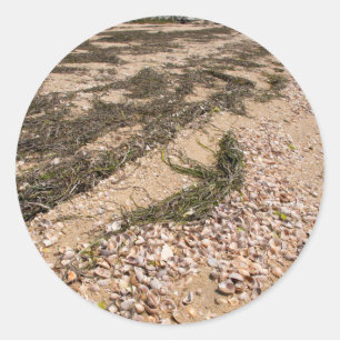 USA, Massachusetts, Nantucket. Muschel Runder Aufkleber