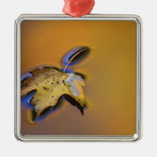 USA, Michigan, Auf dem Wasser schwimmendes Ahornbl Silbernes Ornament