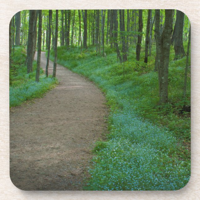 USA, Michigan. Bergfallpfad Getränkeuntersetzer (Vorderseite)