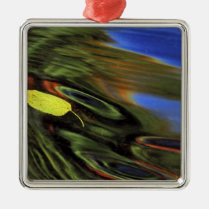 USA, Michigan, Birkenblatt im Fluss mit Herbst Silbernes Ornament