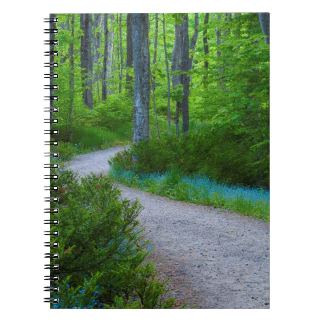 USA, Michigan. Der Weg durch den Wald Notizblock (Vorderseite)