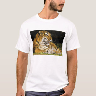 USA, Michigan, Detroit. Detroit Zoo, Tiger bei T-Shirt