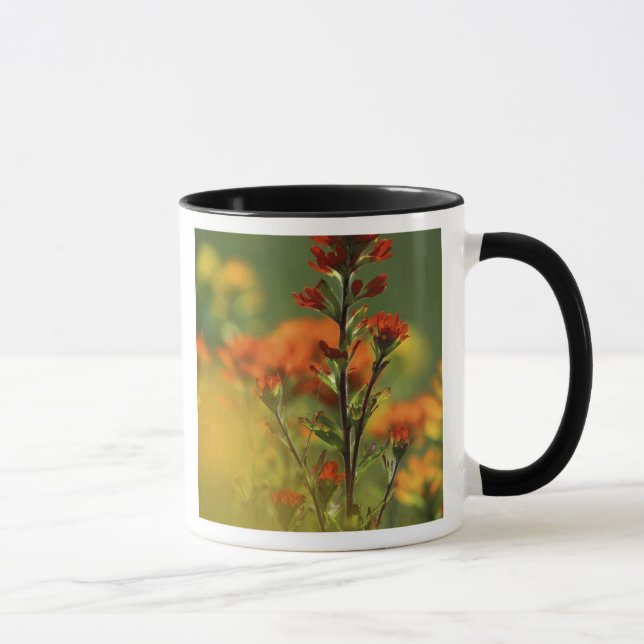 USA, Michigan, Drummond Island, Maxton Plains, Tasse (Rechts)