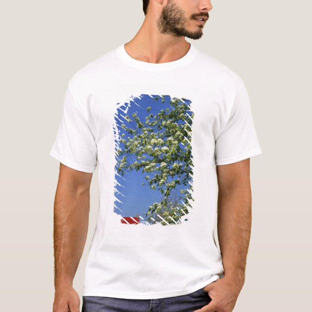 USA, Michigan, East Tawas. Tawas Lighthouse mit T-Shirt (Vorderseite)