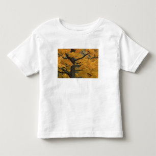 USA, Michigan, Nahaufnahme eines Zucker-Ahornbaums Kleinkind T-shirt