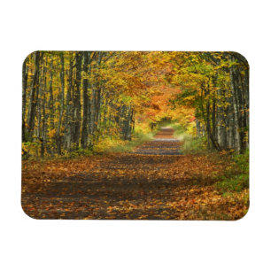 USA, Michigan, Oberes Halbinselgebiet. Straße hine Magnet
