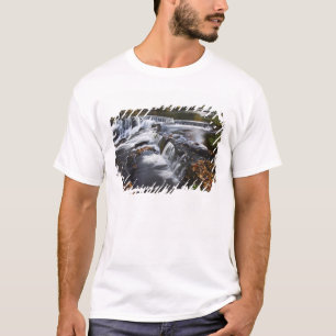 USA, Michigan, Oberes Halbinselland. Bond Falls un T-Shirt