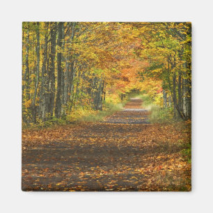 USA, Michigan, Oberhalbinsel. Weg in Magnet