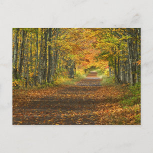 USA, Michigan, Oberhalbinsel. Weg in Postkarte