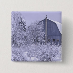 USA, Michigan, Rochester Hills. Verschneites Blau Button