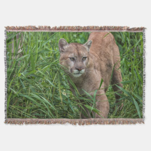 USA, Minnesota, Sandstone, Minnesota-Wildtiere Decke