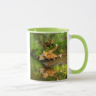USA, Minnesota, Sandstone, Minnesota-Wildtiere Tasse
