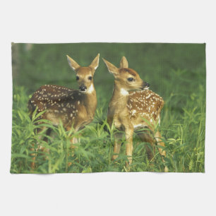 USA, Minnesota. Weißschwanz 2 Handtuch