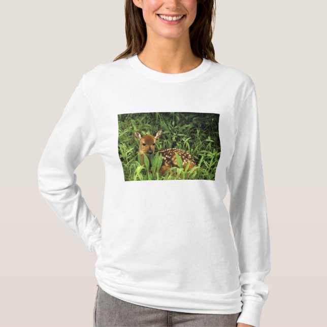 USA, Minnesota. Weißschwanz T-Shirt (Vorderseite)