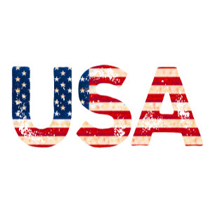 USA mit US-Flagge T-Shirt