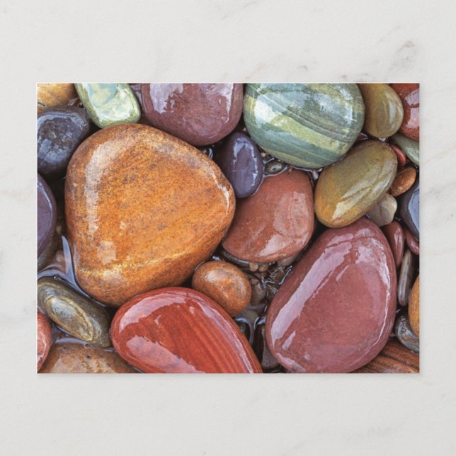 USA, Montana, Clark Fork River, Stones 2 Postkarte (Vorderseite)
