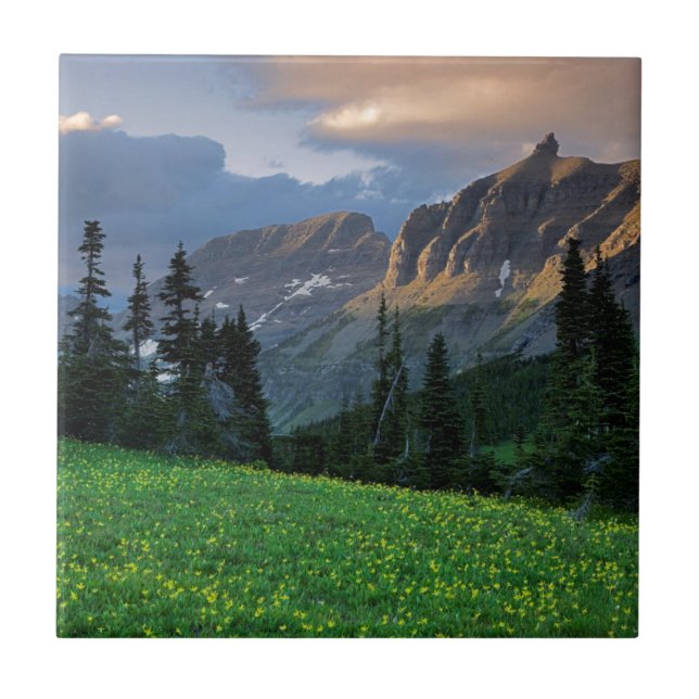 USA, Montana, Glacier National Park, Logan Pass Fliese (Vorderseite)