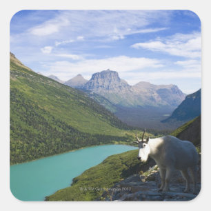 USA, Montana, Glacier National Park, Mountain Quadratischer Aufkleber