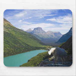 USA, Montana, Glacier Nationalpark, Berg Mousepad