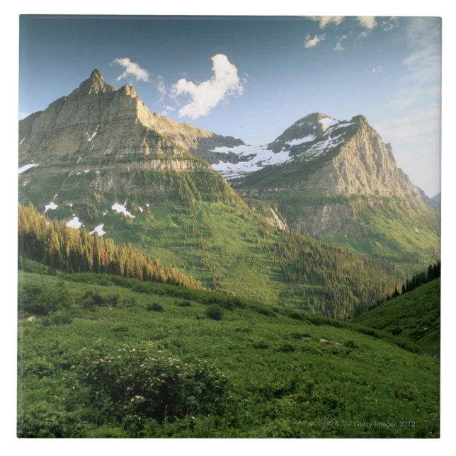 USA, Montana, Glacier Nationalpark Fliese (Vorderseite)