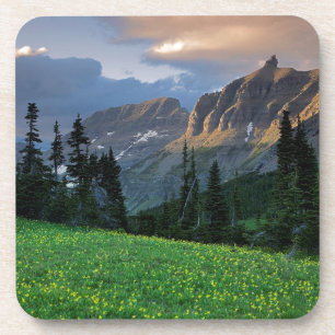 USA, Montana, Glacier-Nationalpark, Logan Pass Getränkeuntersetzer