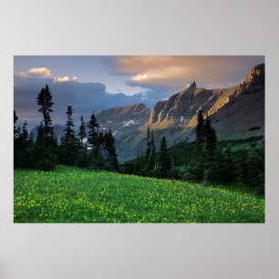 USA, Montana, Glacier-Nationalpark, Logan Pass Poster